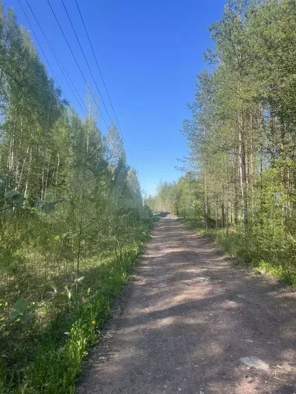 Участок 160 га (СНТ, ДНП) - Фото 0