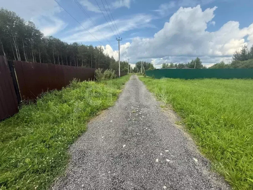 Участок в Московская область, Орехово-Зуевский городской округ, ... - Фото 1