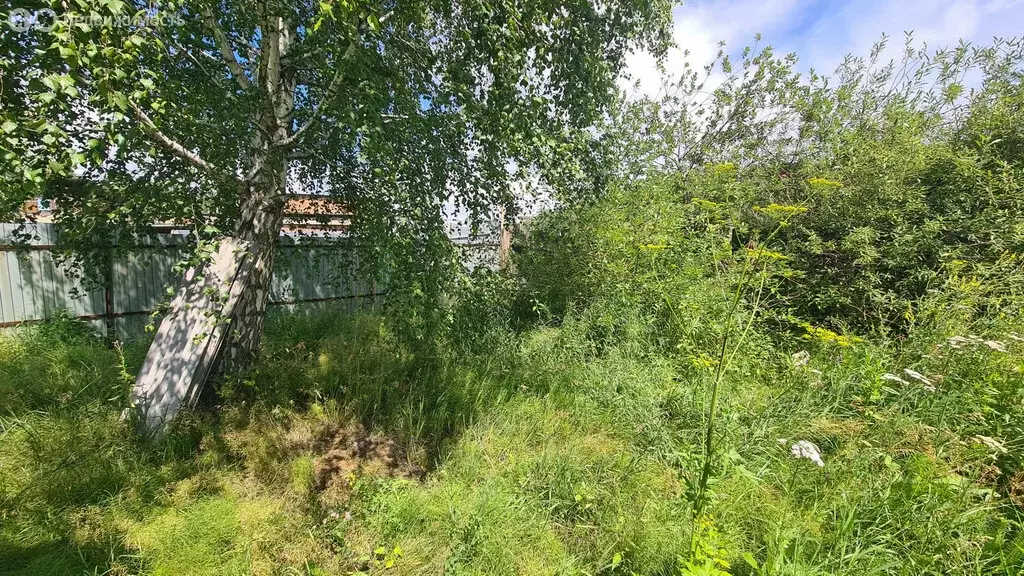 Участок в Иркутск, ДНП имени Мичурина (4.95 м) - Фото 2