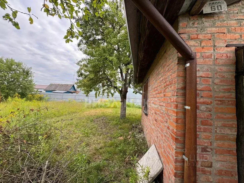 Дом в Брянская область, Брянск Природа садовое общество,  (32 м) - Фото 2