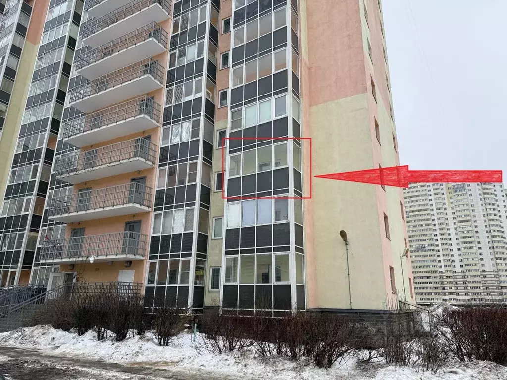 Студия Санкт-Петербург пос. Шушары, просп. Новгородский, 7к2 (22.3 м) - Фото 1