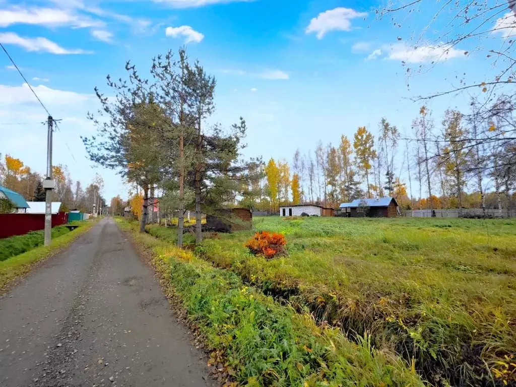 Участок в Ленинградская область, Всеволожский район, Рахьинское ... - Фото 1
