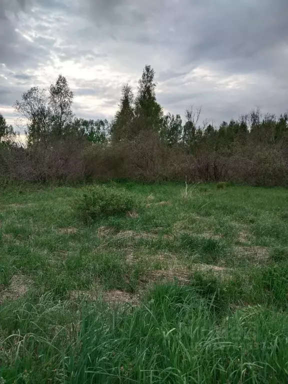 Участок в Тверская область, Калининский муниципальный округ, д. Курово ... - Фото 1