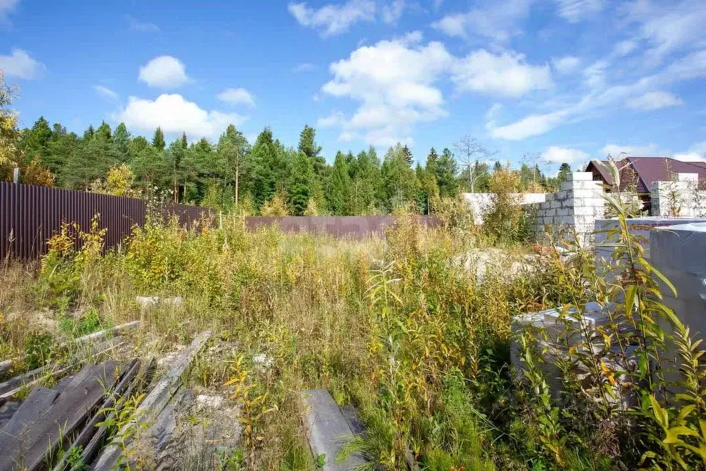 Участок в Ханты-Мансийский АО, Сургут № 47 Лайнер садовое ... - Фото 2