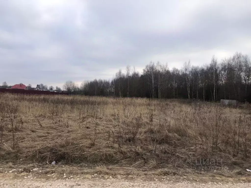 Участок в Московская область, Орехово-Зуевский городской округ, д. ... - Фото 0