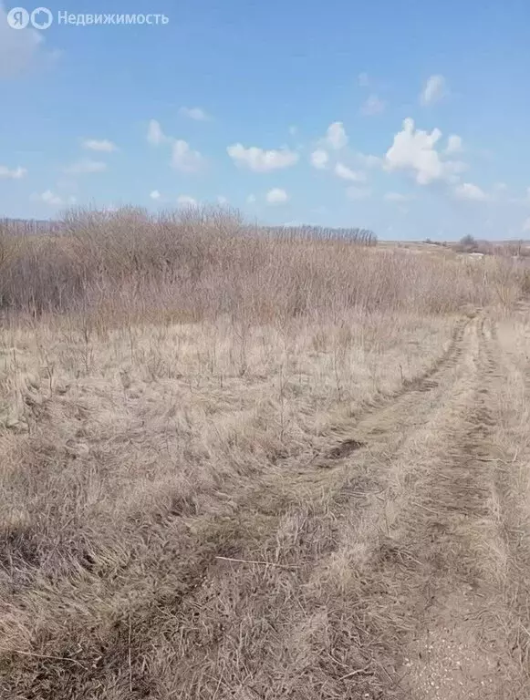 Участок в село Нижняя Верейка, улица Ленина (32 м) - Фото 2