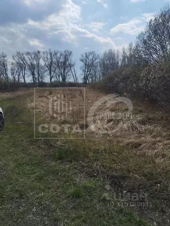 Участок в Воронежская область, Новоусманский район, с. Рогачевка ул. ... - Фото 0