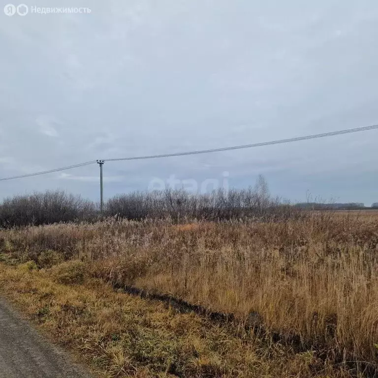 Участок в село Исетское, Сибирская улица (25.56 м) - Фото 2