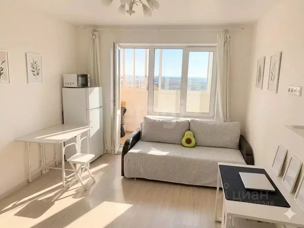 Студия Московская область, Ногинск Богородский городской округ, ул. ... - Фото 1