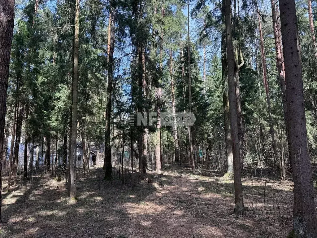 Участок в Московская область, Одинцовский городской округ, пос. Дома ... - Фото 1