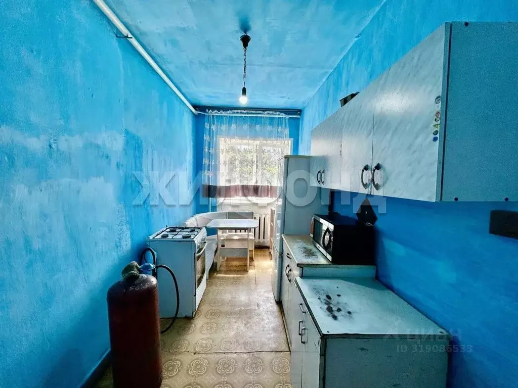 Дом в Новосибирская область, Коченевский район, с. Новокремлевское ул. ... - Фото 1