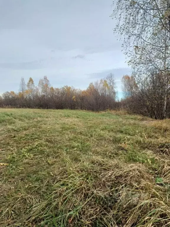 Участок в Тюменская область, Тюменский район, Новотарманское ... - Фото 1