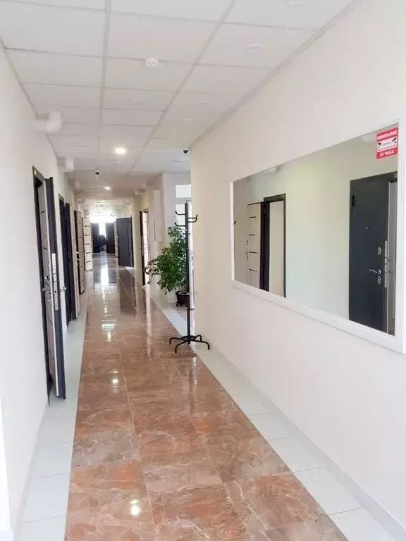 Офис в Новосибирская область, Новосибирск Академгородок мкр, ул. ... - Фото 1