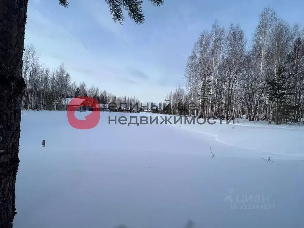 Участок в Тюменская область, Нижнетавдинский район, Геолог-2 СНТ  ... - Фото 1