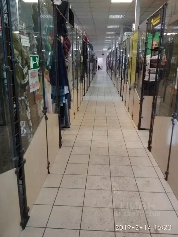 Торговая площадь в Новосибирская область, Барабинск ул. Карла Маркса, ... - Фото 2