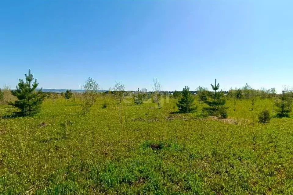 Участок в Пермский край, Пермский муниципальный округ, д. Мостовая ... - Фото 1