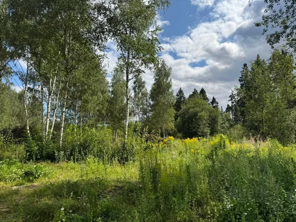 Участок в Московская область, Красногорск городской округ, д. ... - Фото 1