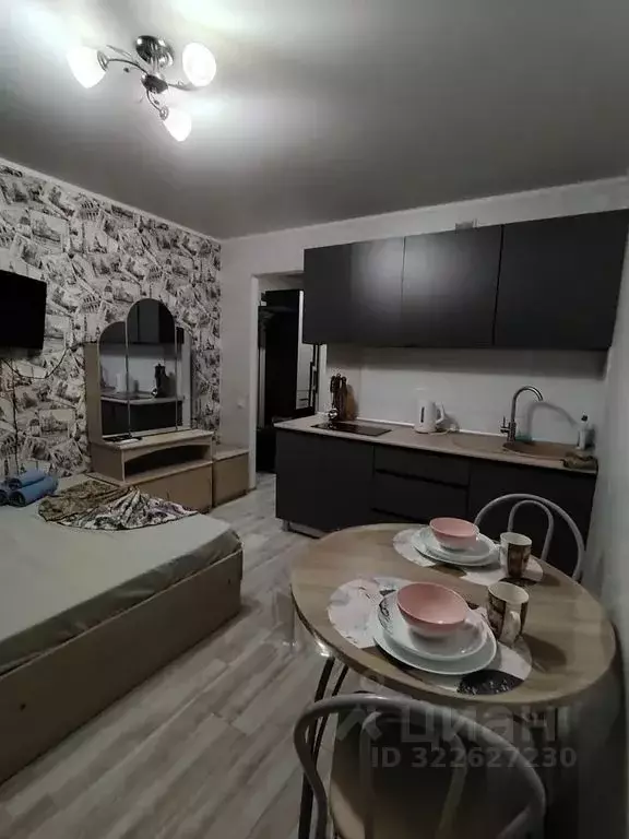 Студия Саратовская область, Энгельс ул. Менделеева, 1 (18.0 м) - Фото 1