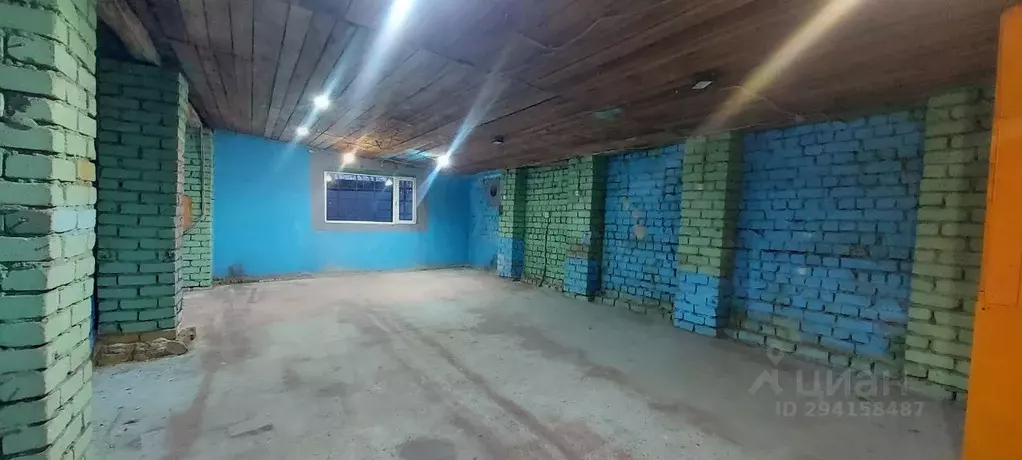 Помещение свободного назначения в Воронежская область, с. Семилуки ул. ... - Фото 1