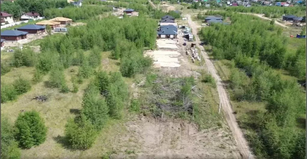 Участок в Воронежская область, Рамонский район, Новоживотинновское ... - Фото 1