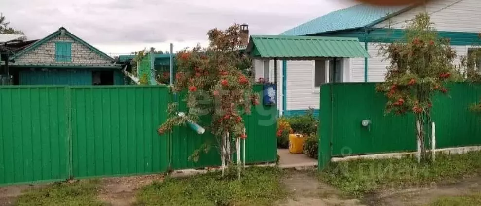 Дом в Амурская область, Константиновский район, с. Новопетровка ул. ... - Фото 1