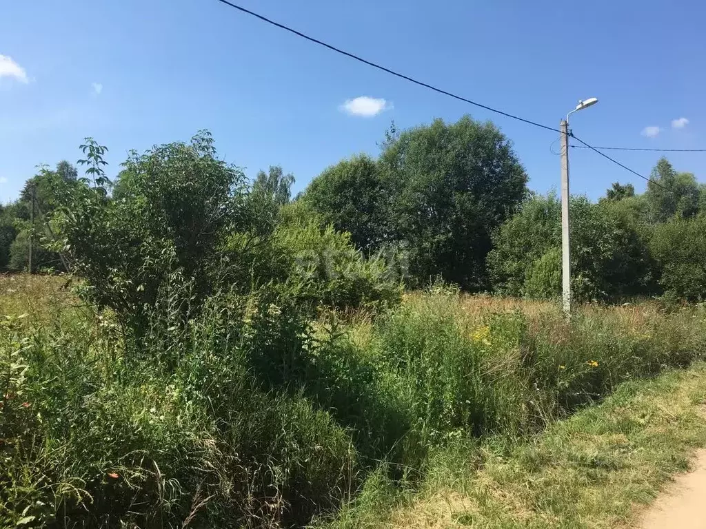 Участок в Калужская область, Бабынинский муниципальный округ, ... - Фото 2