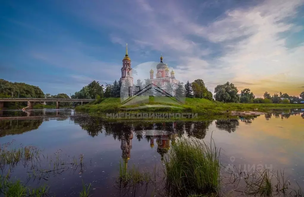 Участок в Новгородская область, Старая Русса Красноармейский пер., 8 ... - Фото 0