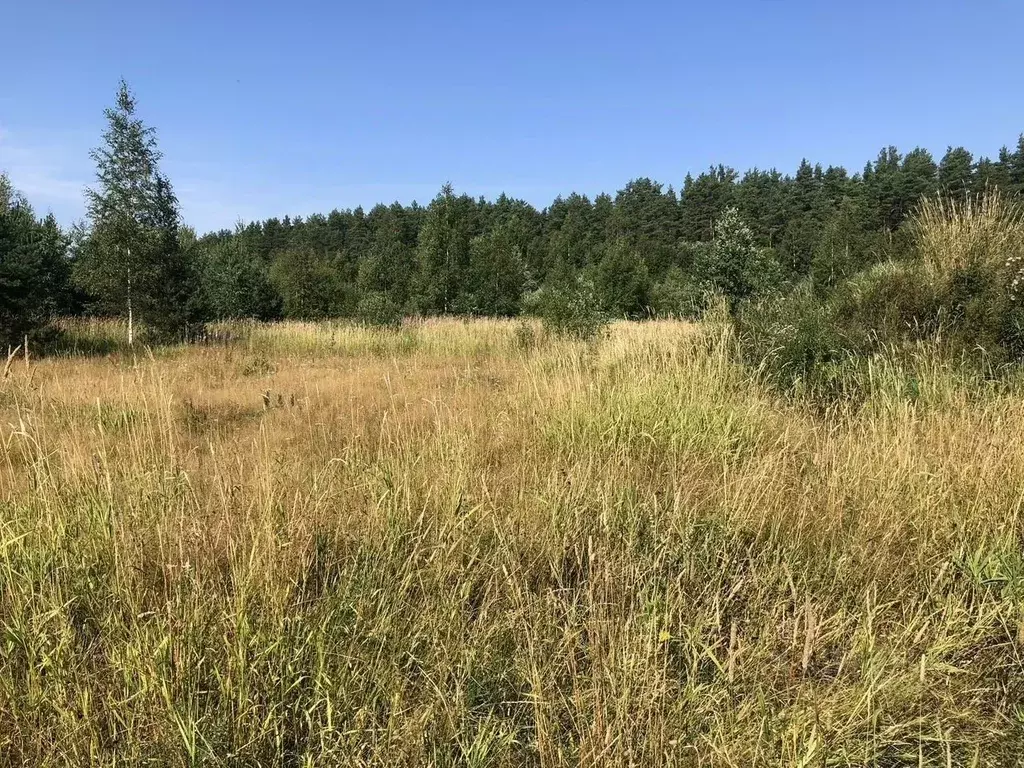 Участок в Ленинградская область, Выборгский район, Полянское с/пос, ... - Фото 2