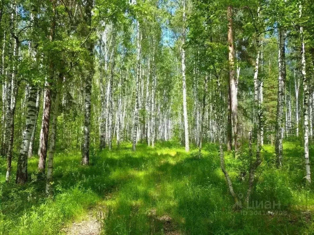 участок в ульяновская область, тереньгульский район, подкуровское . - Фото 0