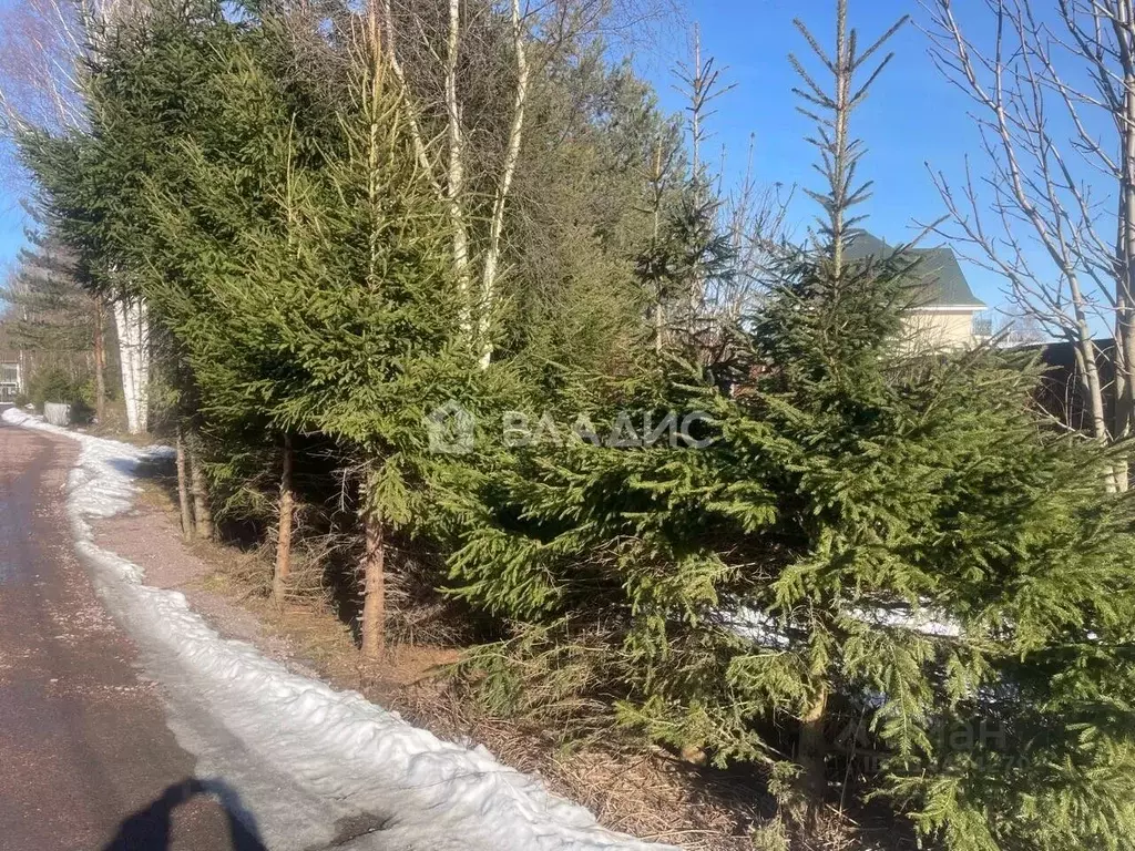 Участок в Ленинградская область, Всеволожский район, Колтушское ... - Фото 0