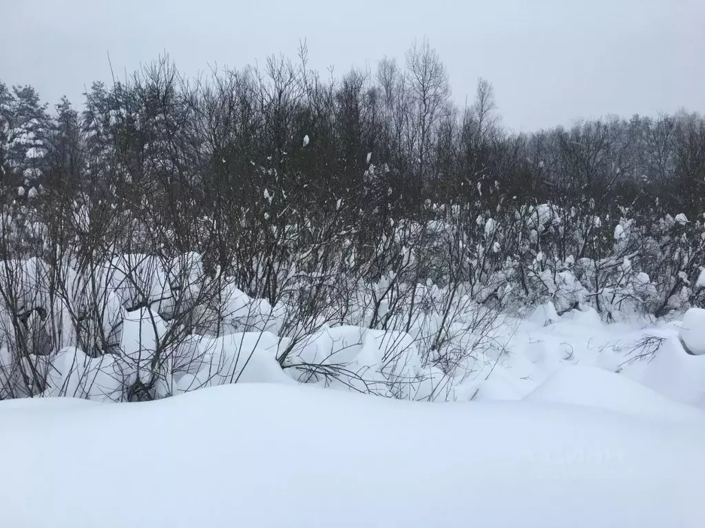 Участок в Московская область, Пушкинский городской округ, д. ... - Фото 1