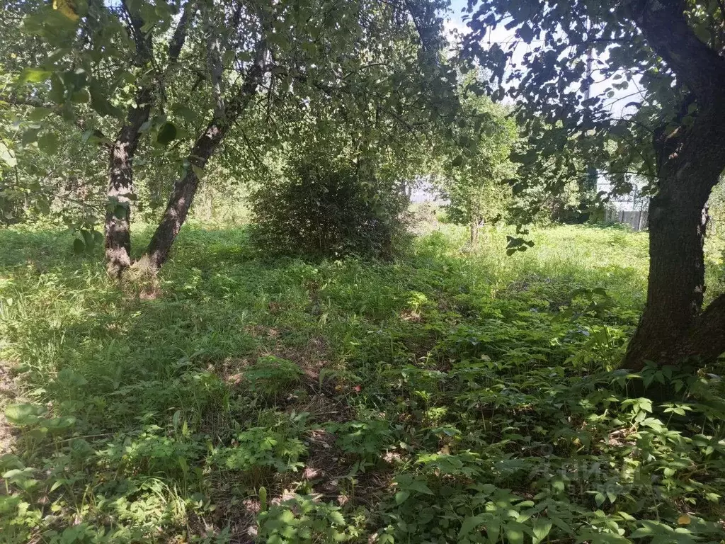 Участок в Владимирская область, Владимир сад Садовод (3.49 сот.) - Фото 0