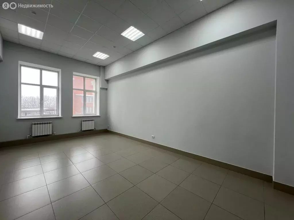 Офис (33.2 м) - Фото 2