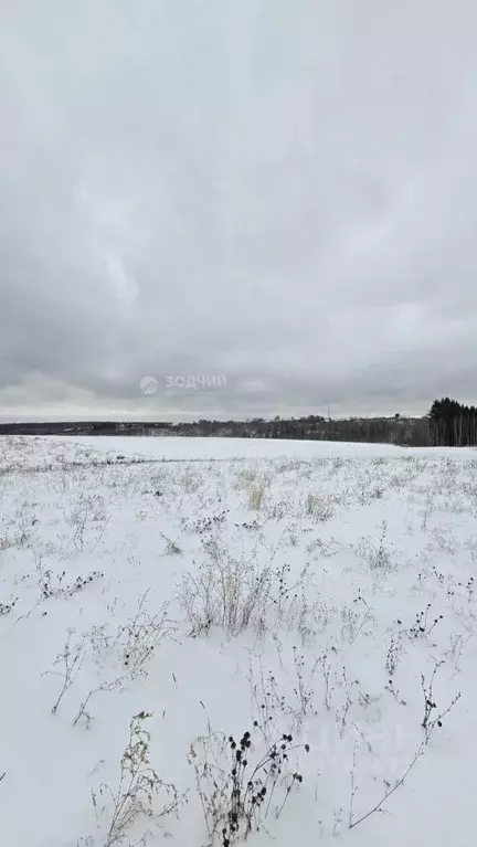 Участок в Чувашия, Моргаушский муниципальный округ, д. Кадикасы ул. ... - Фото 2