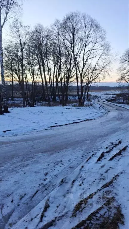 Участок в Московская область, Ступино городской округ, д. Хирино ул. ... - Фото 1