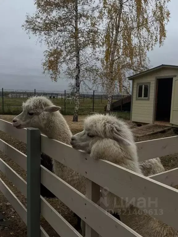Дом в Московская область, Ступино городской округ, Панорама Ривер кп  ... - Фото 2