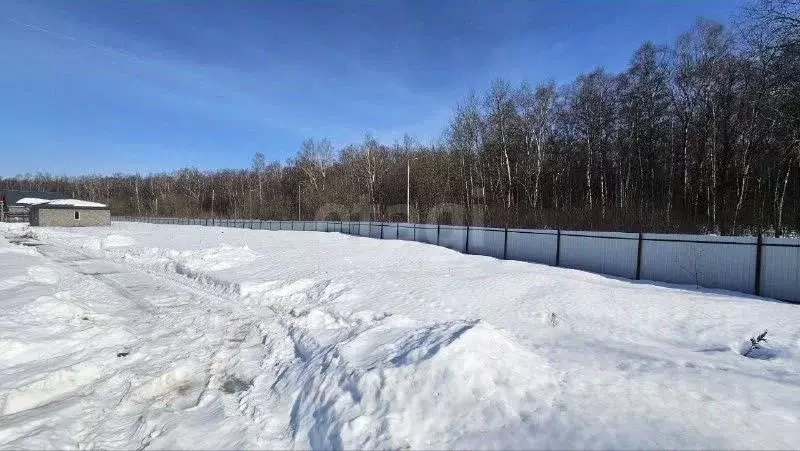 Участок в Москва Океан-3 СНТ, 3 (5.32 сот.) - Фото 1