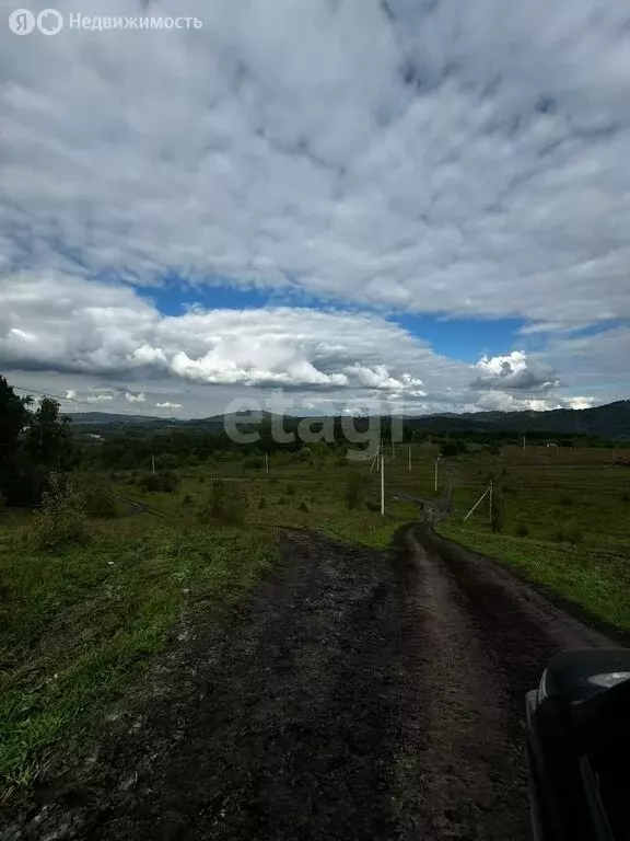 участок в алтайский район, село ая (15 м) - Фото 0