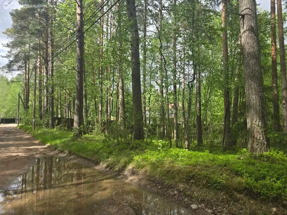 Участок в Выборгский район, Рощинское городское поселение, посёлок ... - Фото 0
