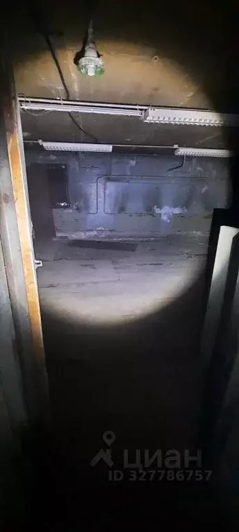 Помещение свободного назначения в Алтайский край, Барнаул ул. ... - Фото 1