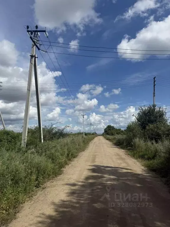 Участок в Амурская область, Благовещенский район, с. Волково  (15.0 ... - Фото 1
