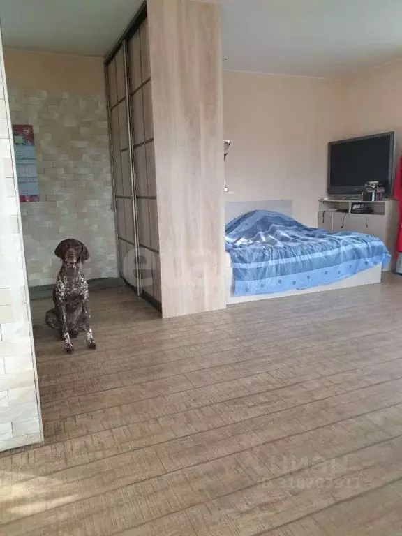 Студия Тюменская область, Тюмень ул. Пермякова, 24 (30.9 м) - Фото 1