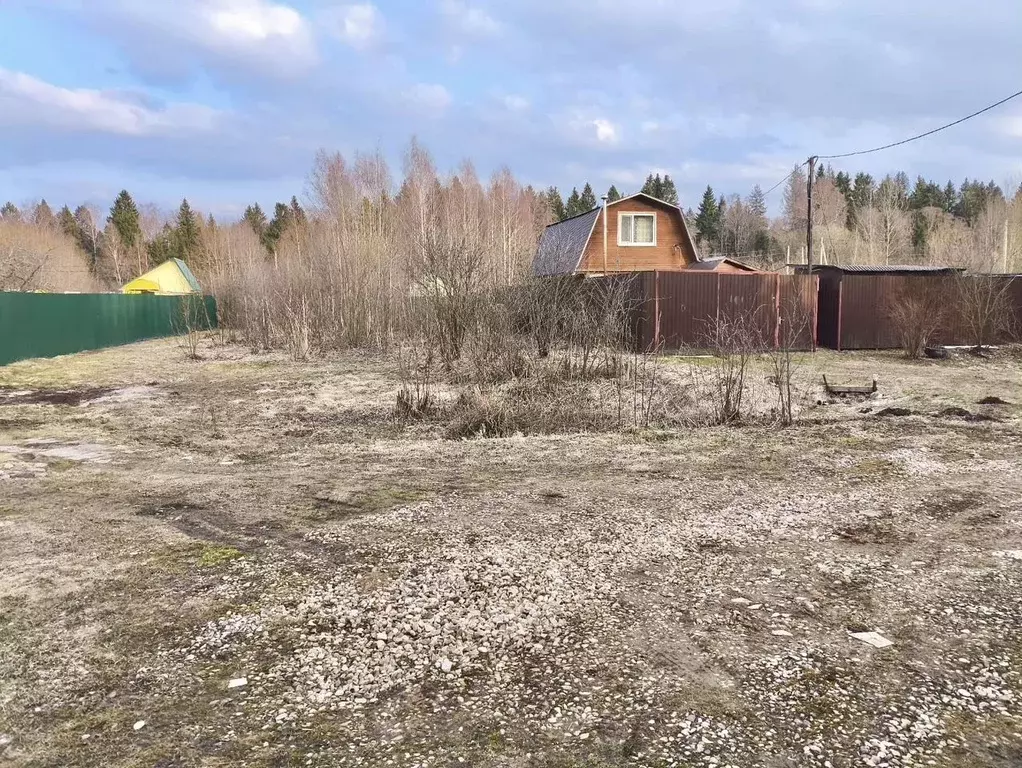 Участок в Московская область, Клин городской округ, Родничок-1 садовое ... - Фото 2