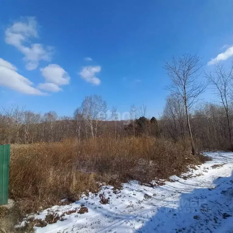 Участок в Приморский край, Надеждинский район, Берег СНТ ул. 1-я (10.0 ... - Фото 0