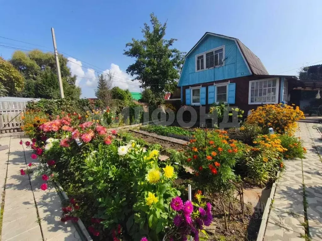 Дом в Новосибирская область, Новосибирск Волна СНТ, ул. Яблочная (70 ... - Фото 1