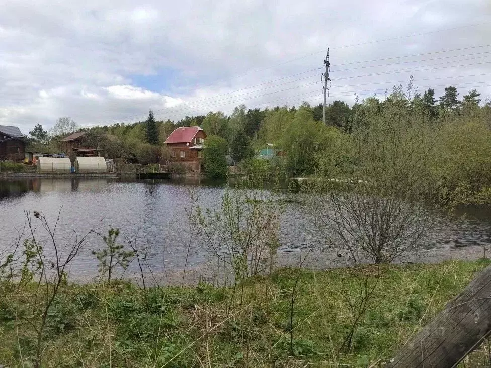 Участок в Свердловская область, Екатеринбург Карасики СНТ, 19 (11.6 ... - Фото 1