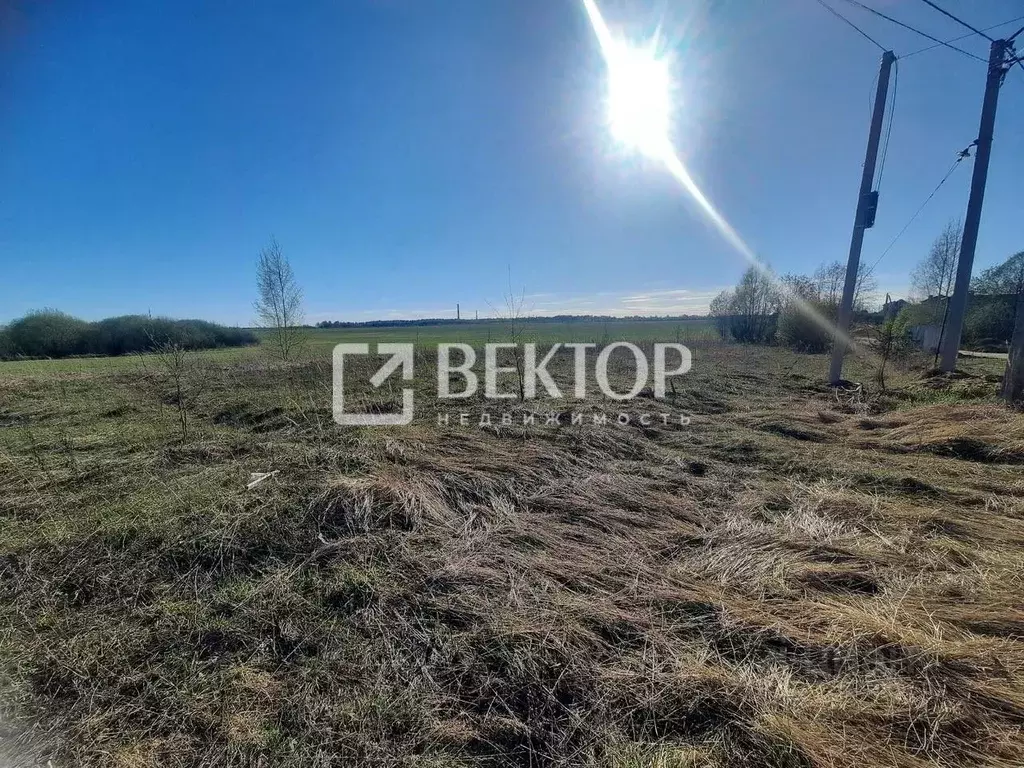 Участок в Костромская область, Костромской район, Никольское с/пос, ... - Фото 2