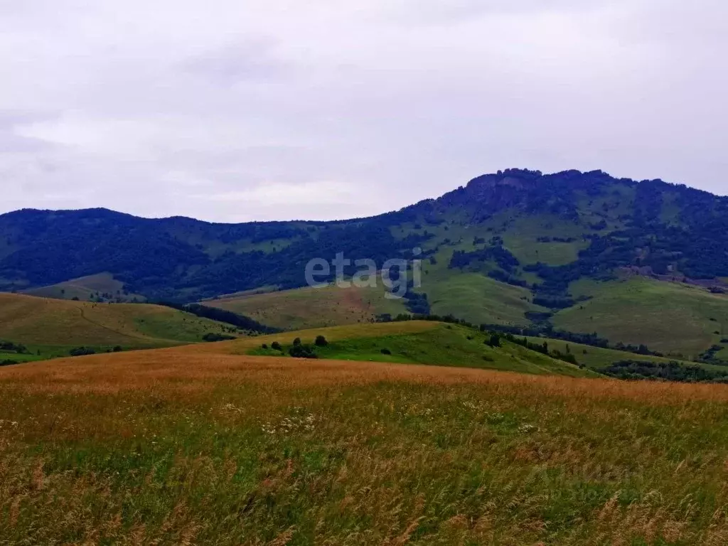 Участок в Алтайский край, Алтайский район, с. Ая  (50000.0 сот.) - Фото 0