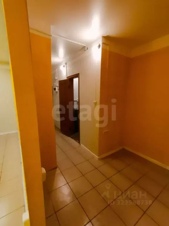 Помещение свободного назначения в Новосибирская область, Новосибирск ... - Фото 1