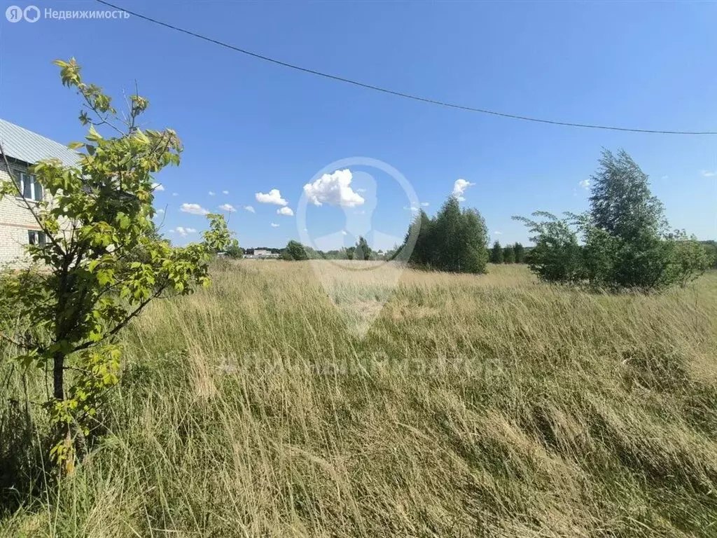 Участок в Рязанский муниципальный округ, село Вышгород (15 м) - Фото 2